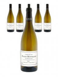 Vincent Girardin Puligny Montrachet Les Pucelles 1er Cru 2018 - 6bots