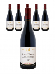 Georges Noellat Vosne Romanee les Chaumes 1er Cru 2018 - 6bots