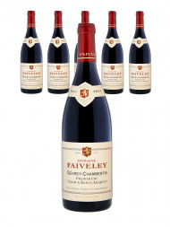 Faiveley Gevrey Chambertin Lavaux St Jacques 1er Cru 2014 - 6bots