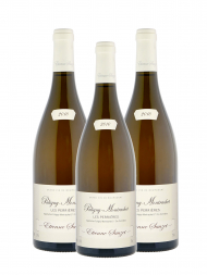 Etienne Sauzet Puligny Montrachet Les Perrieres 1er Cru 2010 - 3bots