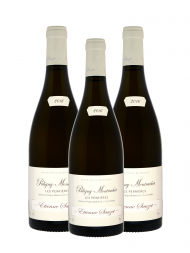 Etienne Sauzet Puligny Montrachet Les Perrieres 1er Cru 2016 - 3bots