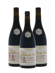 Dugat-Py Gevrey Chambertin Cuvee Coeur de Roy Tres Vieilles Vignes 2017 - 3bots