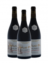 Dugat-Py Gevrey Chambertin Cuvee Coeur de Roy Tres Vieilles Vignes 2019 - 3bots