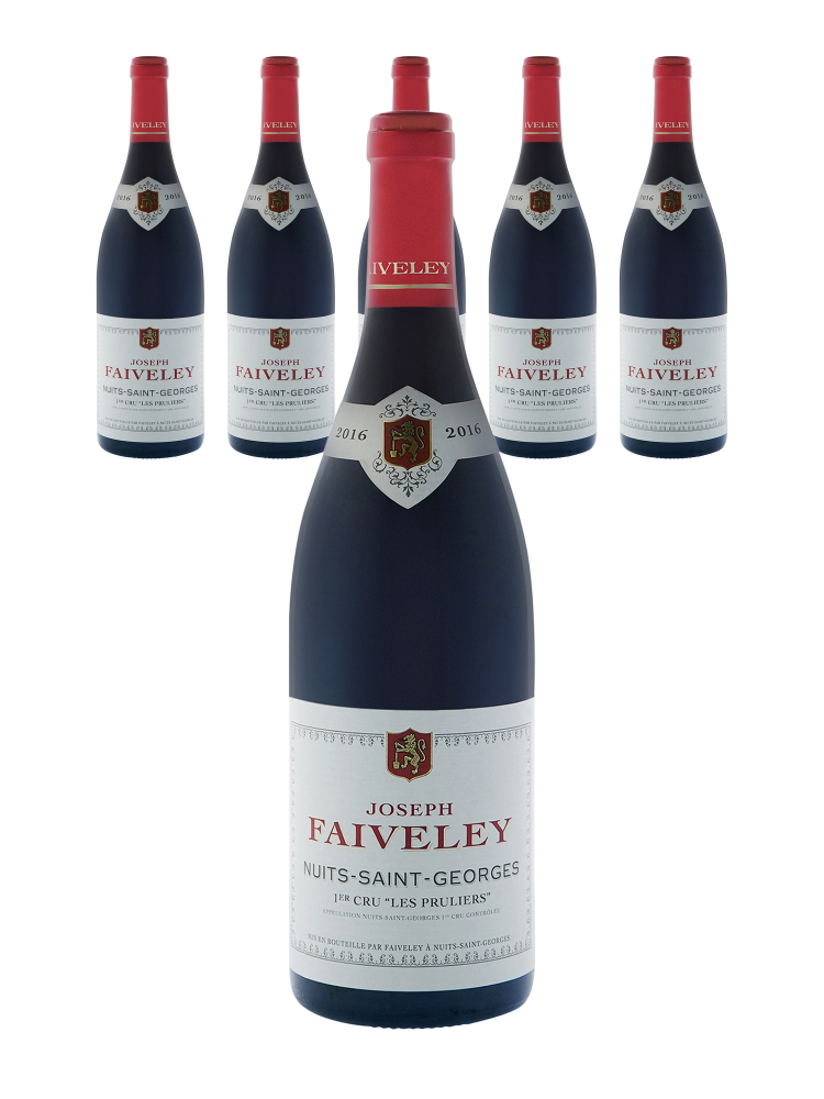 Joseph Faiveley Nuits Saint Georges Les Pruliers 1er Cru 2016 - 6bots