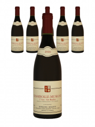 Serafin Pere & Fils Chambolle Musigny les Baudes 1er Cru 2020 - 6bots